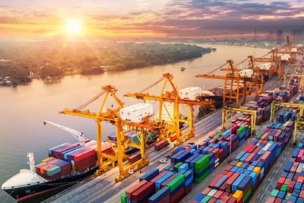 Sea Freight Cargo